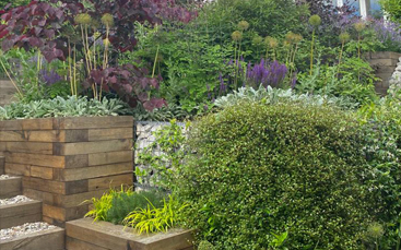 dry garden maintenance