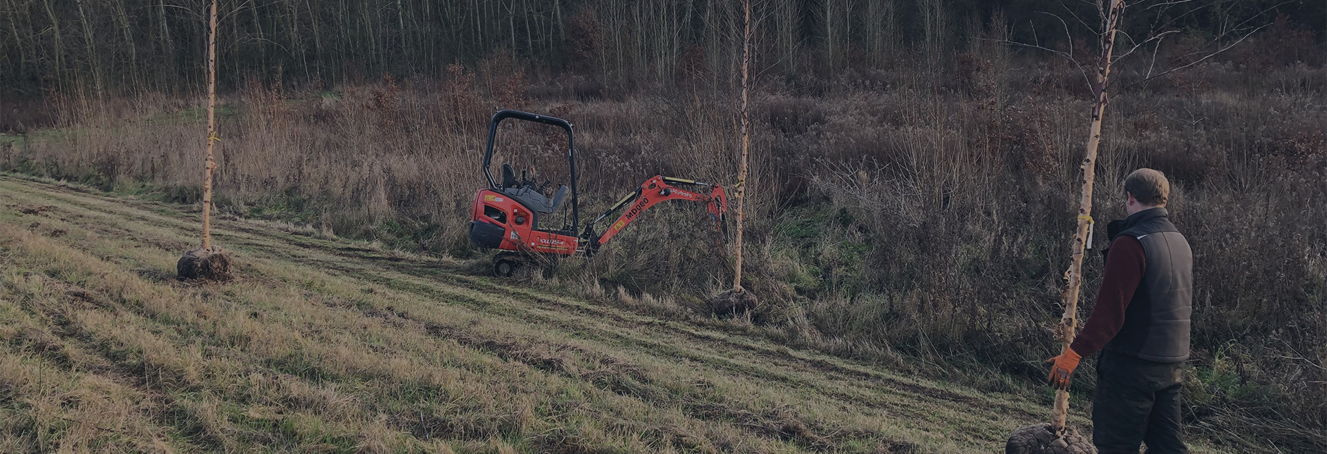 Garden Maintenance Services in Essex