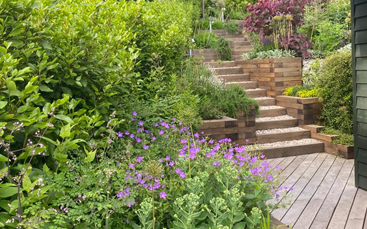 maintained landscaping