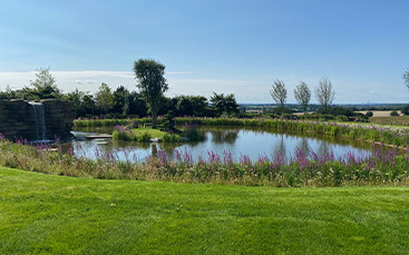 Lake and waterfall gardening project