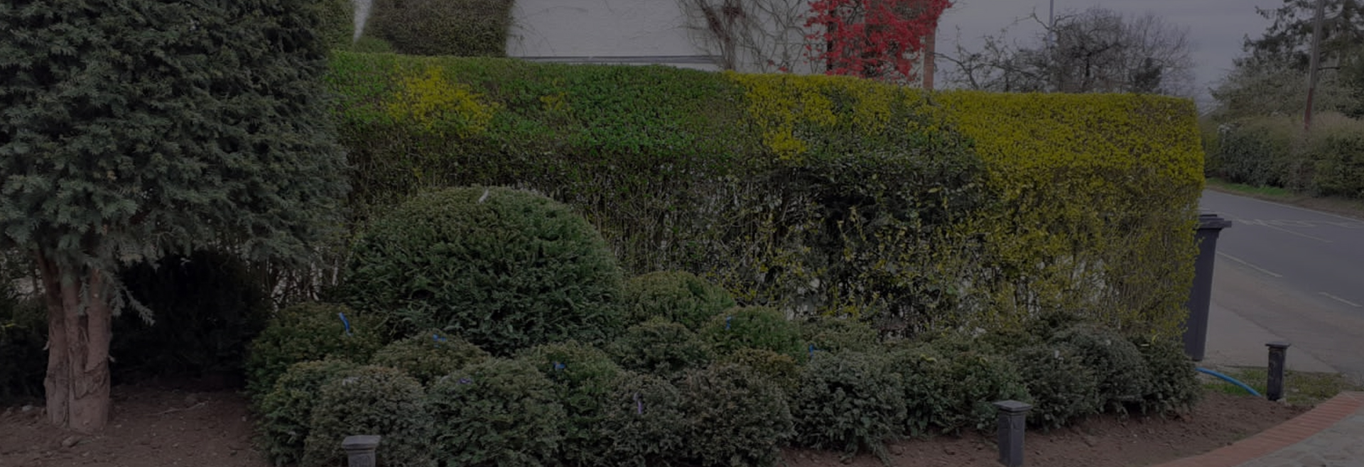 Soft Landscaping Essex, UK
