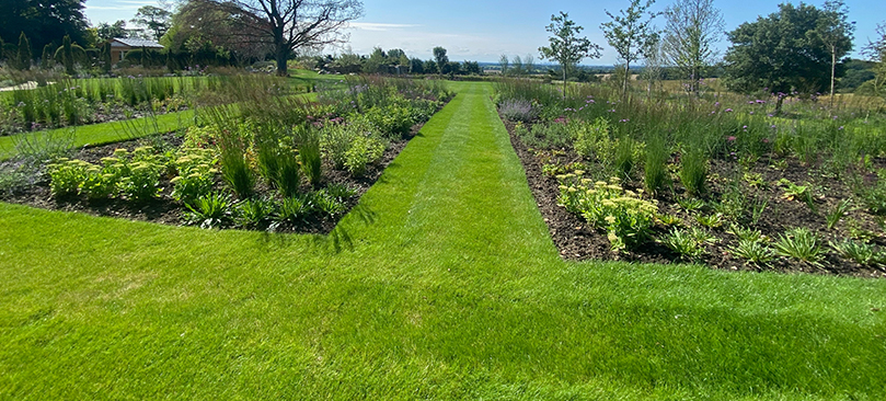 soft landscaping project maintaining plants and turf