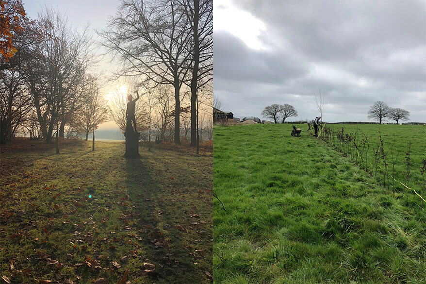 Tree Planting Essex